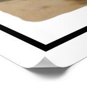 Tyrannosaurus Rex #3 Poster (Ecke)