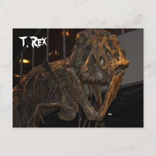 Tyrannosaurus Rex # 5 Postkarte