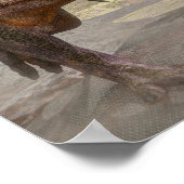 Tyrannosaurus-Rex, der vor einem Triceratops-Angri Poster (Ecke)