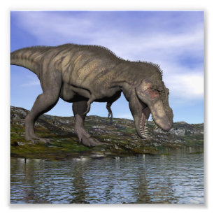 Tyrannosaurus rex dinosaur - 3D rendern Fotodruck
