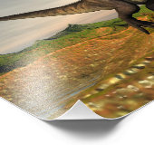 Tyrannosaurus rex dinosaur - 3D rendern Fotodruck (Ecke)