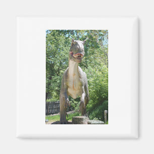 Tyrannosaurus Rex Dinosaur Magnet