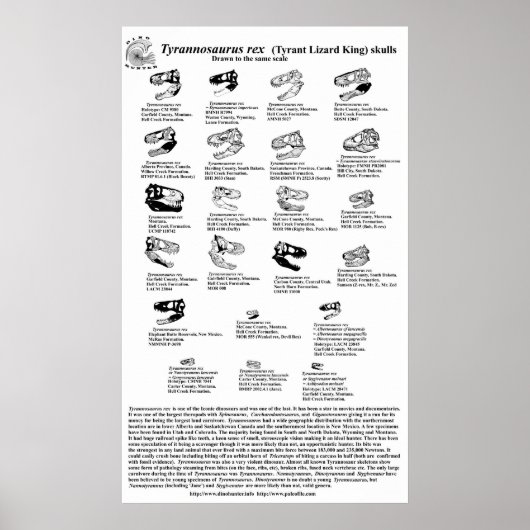Tyrannosaurus rex poster (Vorne)
