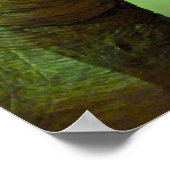 Tyrannosaurus Rex Poster (Ecke)