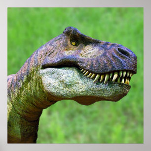 Tyrannosaurus Rex Poster