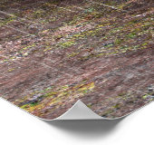 Tyrannosaurus Rex Poster (Ecke)