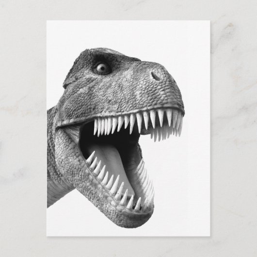 Tyrannosaurus Rex Postkarte (Vorderseite)