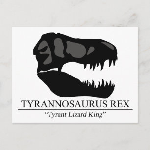 Tyrannosaurus Rex Skull Postkarte