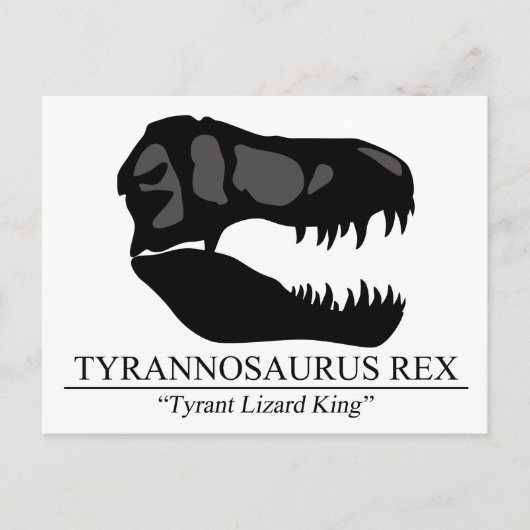 Tyrannosaurus Rex Skull Postkarte (Vorderseite)