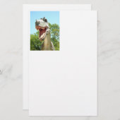 Tyrannosaurus T-Rex Dinosaur Briefpapier (Vorne/Hinten)