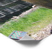 Tyrannosaurus T-Rex Dinosaur Poster (Ecke)