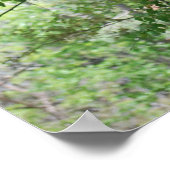 Tyrannosaurus T-Rex Dinosaur Poster (Ecke)