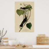 Tyrant Fly-Catcher Poster (Küche)