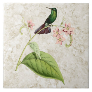 Tyrian Metal Tail Hummingbird Keramikfliese