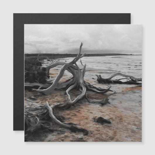 Tyrrell-See Naturkräfte Magnetkarte (Vorne/Hinten)