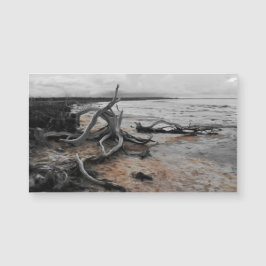 Tyrrell-See Naturkräfte Magnetkarte