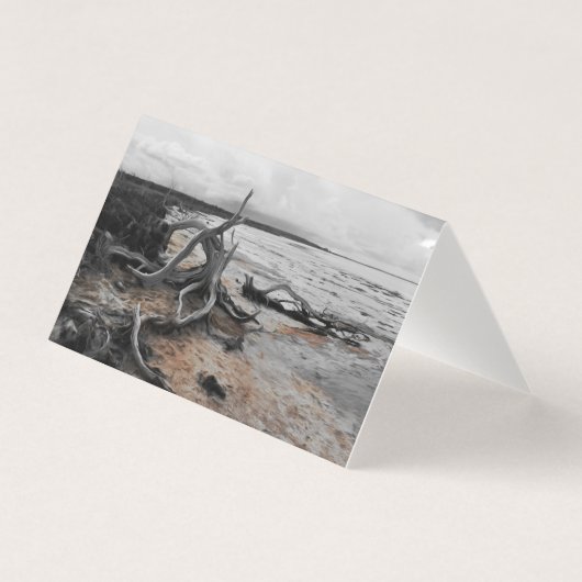 Tyrreller Naturschutzgebiete Faltkarte (Vorderseite)