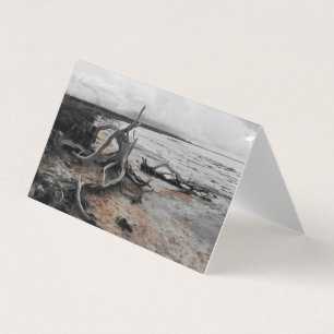 Tyrreller Naturschutzgebiete Faltkarte