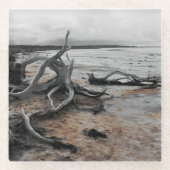 Tyrreller Naturschutzgebiete Glasuntersetzer (Vorderseite)