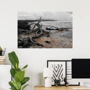 Tyrreller Naturschutzgebiete Poster