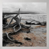 Tyrreller Naturschutzgebiete Poster (Vorne)