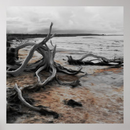 Tyrreller Naturschutzgebiete Poster