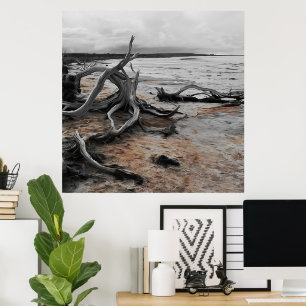 Tyrreller Naturschutzgebiete Poster