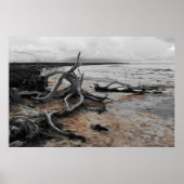Tyrreller Naturschutzgebiete Poster (Vorne)