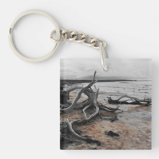 Tyrreller Naturschutzgebiete Schlüsselanhänger (Vorderseite)