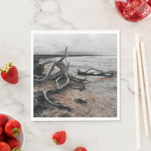 Tyrreller Naturschutzgebiete Serviette (Beispiel)