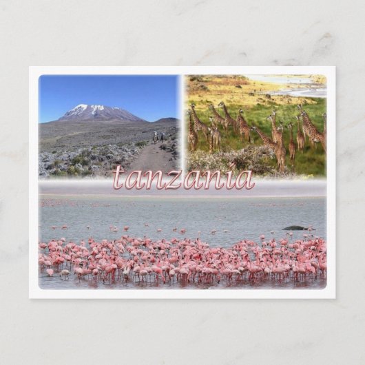 TZ - Tansania - Postkarte (Vorderseite)