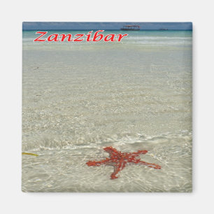 TZ - Tansania - Sansibar - Rot-Knobbed Starfish Magnet