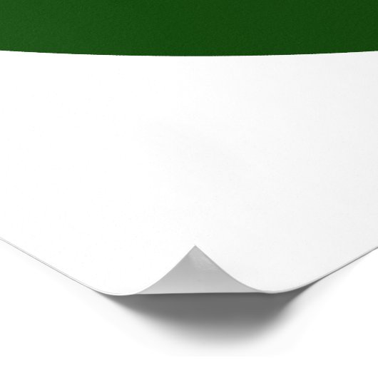 Tzahal Shield Poster (Ecke)