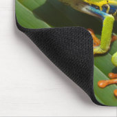 Tzefardea in der hebräischen Bedeutung "Frosch " Mousepad (Ecke)