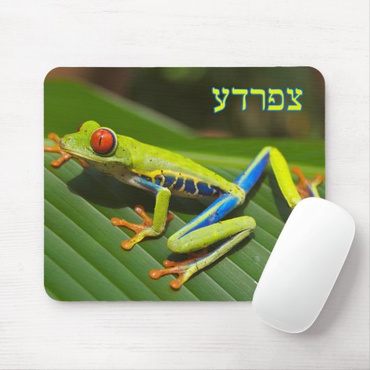 Tzefardea in der hebräischen Bedeutung "Frosch " Mousepad (Mit Mouse)