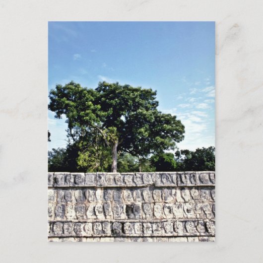 Tzompantli-Schädelmauer, Chichen Itza Postkarte (Vorderseite)