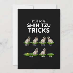 Tzu Lover  Funny Shih Tzu Trick Hund Liebe Dankeskarte