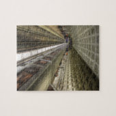 U-Bahnhof Washington DC Puzzle (Horizontal)