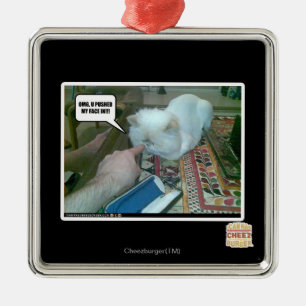 U drückte mein Gesicht ein! Silbernes Ornament