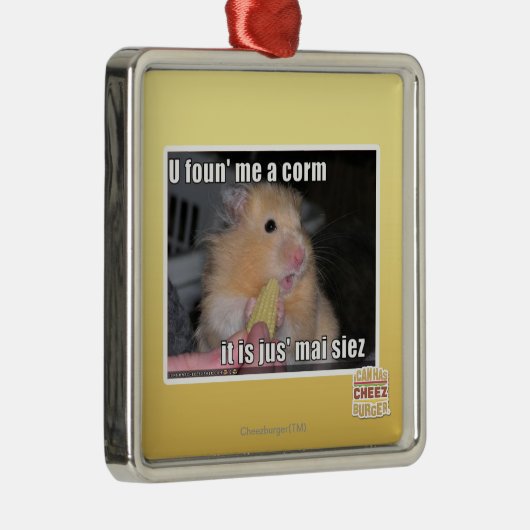 U fand mich ein Mais Silbernes Ornament (Rechts)