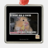 U fand mich ein Mais Silbernes Ornament (Vorne)