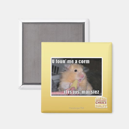 U fand mich einen Mais Magnet (Vorderseite/Rückseite)