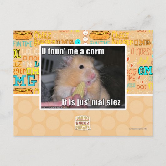 U fand mich einen Mais Postkarte (Vorderseite)
