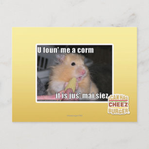 U fand mich einen Mais Postkarte