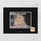 U fand mich einen Mais Postkarte (Vorderseite)