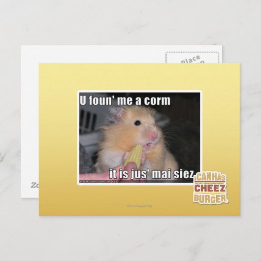 U fand mich einen Mais Postkarte (Vorne/Hinten)