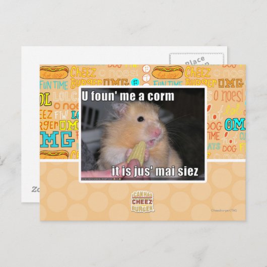 U fand mich einen Mais Postkarte (Vorne/Hinten)