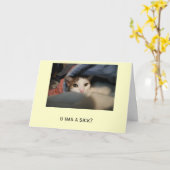 u has a sick? #2 karte (Gelbe Blume)