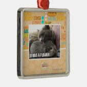 U HAT EIN AROMA SILBERNES ORNAMENT (Rechts)