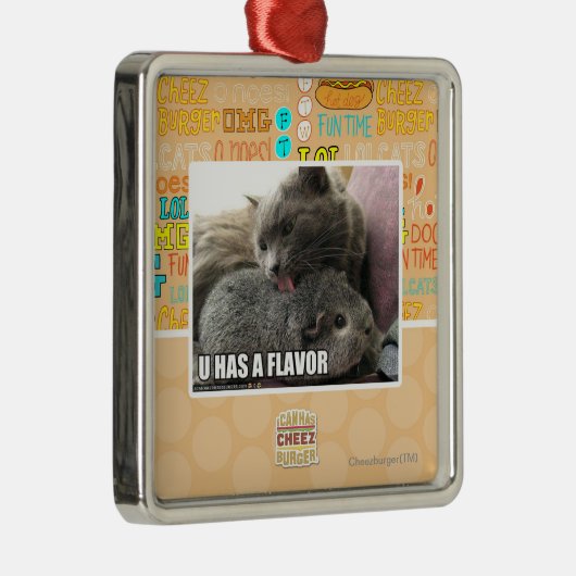 U HAT EIN AROMA SILBERNES ORNAMENT (Rechts)